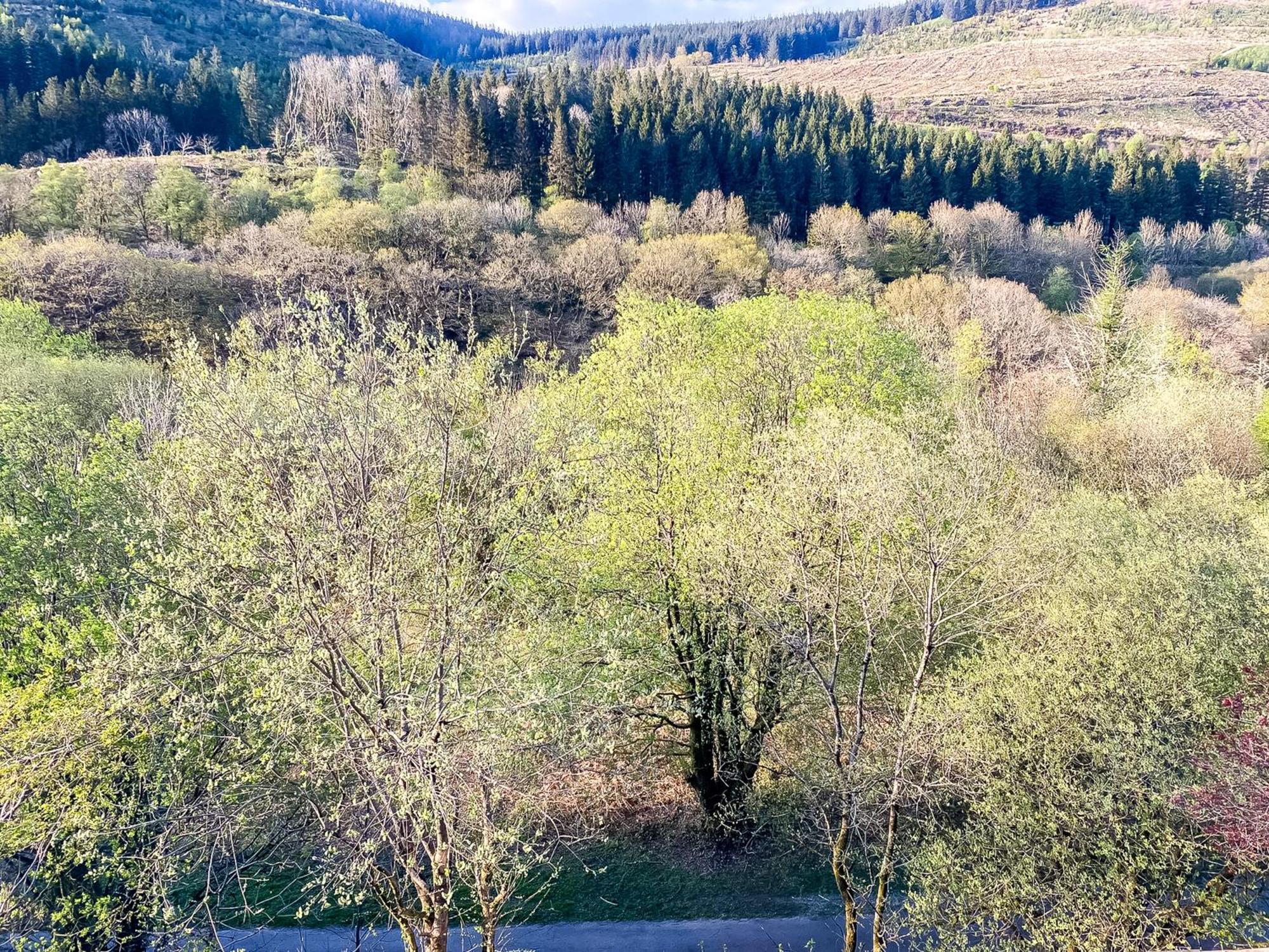 The Nest Superb Apartment In Afan Forest Bike Park By Staystaycations Port Talbot Extérieur photo